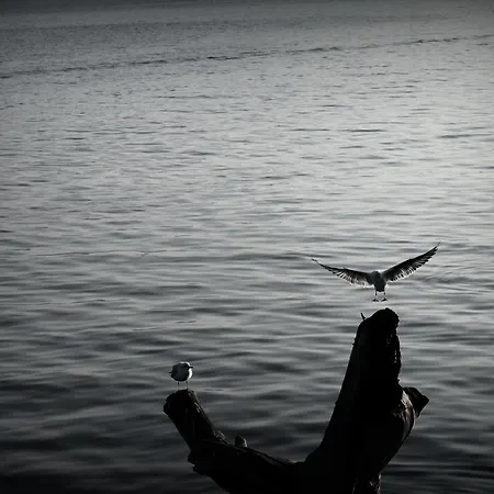 Bed & Breakfast Faik Bey Konagi *